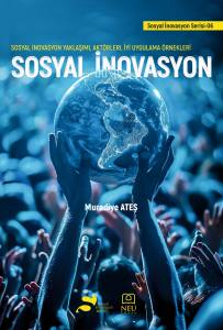 Sosyal İnovasyon Yaklaşımı , Akt&ouml;rleri , İyi Uygulama &Ouml;rnekleri