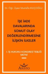 İşe İade Davalarında Somut Olay Değerlendirmesine İlişkin İlkeler